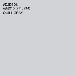 #D2D3D6 - Quill Gray Color Image